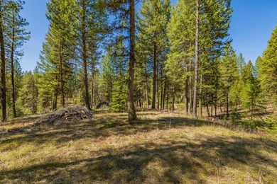 Mountain Estate lots in Jug Mountain Ranch. New homesites in - photo 10