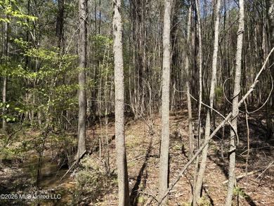 If you've been searching for an affordable piece of land with - photo 10