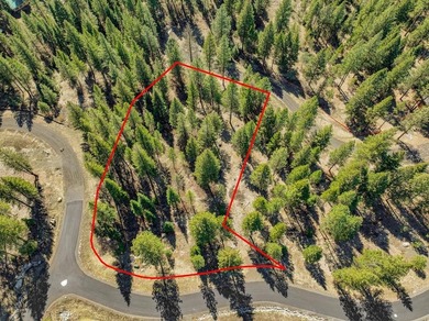 Mountain Estate lots in Jug Mountain Ranch. New homesites in - photo 1