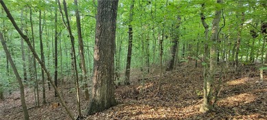 Rare mostly level double lot on Point road is now available for - photo 11