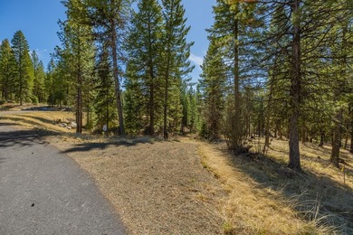 Mountain Estate lots in Jug Mountain Ranch. New homesites in - photo 2