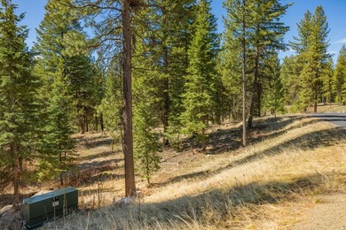 Mountain Estate lots in Jug Mountain Ranch. New homesites in - photo 4