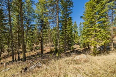 Mountain Estate lots in Jug Mountain Ranch. New homesites in - photo 5