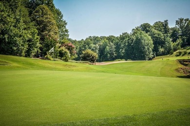 Rare mostly level double lot on Point road is now available for - photo 16