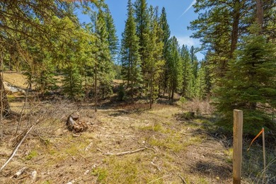 Mountain Estate lots in Jug Mountain Ranch. New homesites in - photo 7