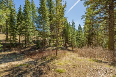 Mountain Estate lots in Jug Mountain Ranch. New homesites in - photo 8