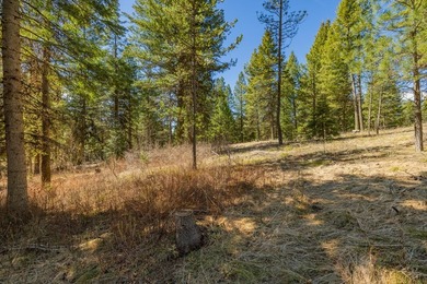 Mountain Estate lots in Jug Mountain Ranch. New homesites in - photo 9