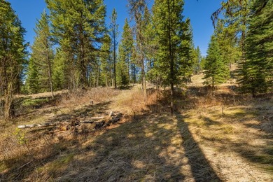 Mountain Estate lots in Jug Mountain Ranch. New homesites in - photo 10