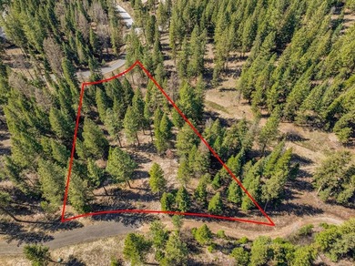 Mountain Estate lots in Jug Mountain Ranch. New homesites in - photo 1
