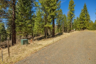 Mountain Estate lots in Jug Mountain Ranch. New homesites in - photo 2