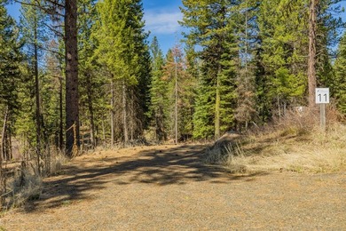 Mountain Estate lots in Jug Mountain Ranch. New homesites in - photo 3