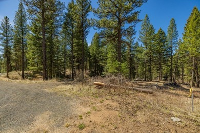 Mountain Estate lots in Jug Mountain Ranch. New homesites in - photo 4
