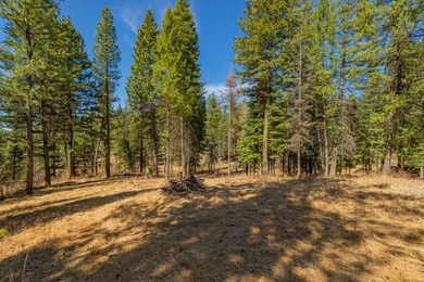 Mountain Estate lots in Jug Mountain Ranch. New homesites in - photo 7