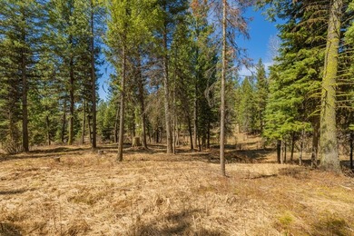 Mountain Estate lots in Jug Mountain Ranch. New homesites in - photo 8