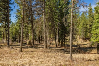 Mountain Estate lots in Jug Mountain Ranch. New homesites in - photo 9