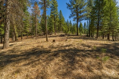 Mountain Estate lots in Jug Mountain Ranch. New homesites in - photo 10