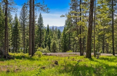 Mountain Estate lots in Jug Mountain Ranch. New homesites in - photo 1