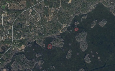 (private lake, pond, creek) Lot For Sale in Tallahassee Florida
