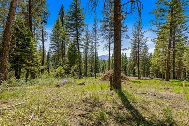 Mountain Estate lots in Jug Mountain Ranch. New homesites in - photo 3