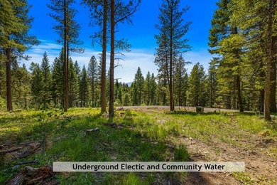 Mountain Estate lots in Jug Mountain Ranch. New homesites in - photo 4