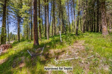 Mountain Estate lots in Jug Mountain Ranch. New homesites in - photo 5