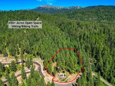 Mountain Estate lots in Jug Mountain Ranch. New homesites in - photo 7