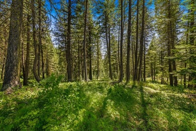 Mountain Estate lots in Jug Mountain Ranch. New homesites in - photo 9