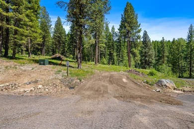 Mountain Estate lots in Jug Mountain Ranch. New homesites in - photo 10