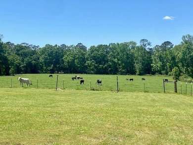 Welcome to this stunning 58-acre homestead that perfectly blends - photo 40