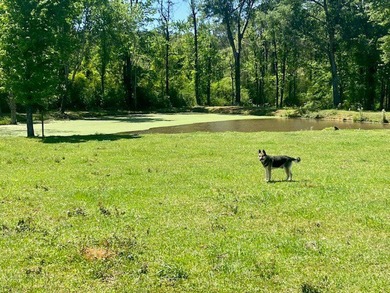 Welcome to this stunning 58-acre homestead that perfectly blends - photo 49