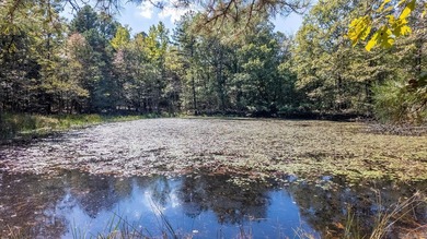 (private lake, pond, creek) Acreage For Sale in Houston Missouri