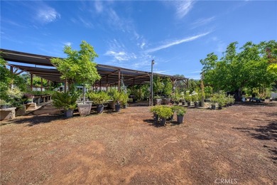 Location, location, location! This exceptional 2.17-acre - photo 6