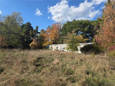 Lake Home For Sale in Albion, New York