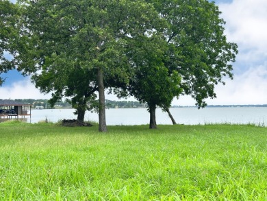 Dream Waterfront Homesite on Richland Chambers Lake! - photo 12