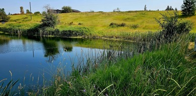 (private lake, pond, creek) Acreage For Sale in Colville Washington