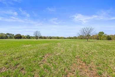 ABSOLUTELY GORGEOUS- you must see this beautiful large acreage - photo 8