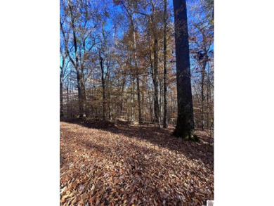 Lake Lot For Sale in Eddyville, Kentucky