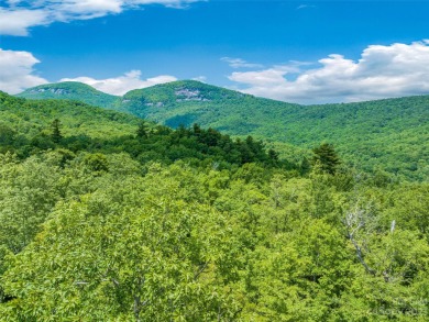 Lake Toxaway Acreage For Sale in Lake Toxaway North Carolina