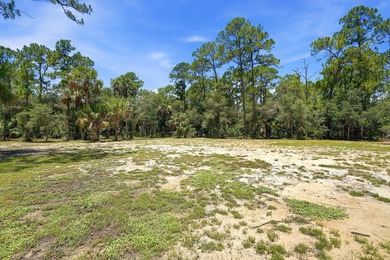 Build your dream oasis on this private, gated 6+ acre heavily - photo 16