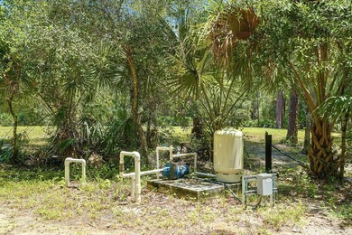 Build your dream oasis on this private, gated 6+ acre heavily - photo 18