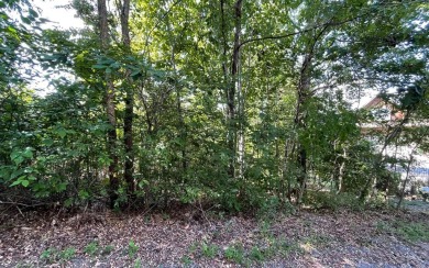 Lake Chatuge Lot For Sale in Hiawassee Georgia