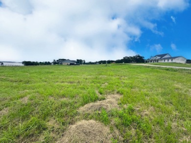Dream Waterfront Homesite on Richland Chambers Lake! - photo 23
