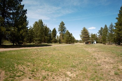 Located on the edge of the City of McCall, you will discover an - photo 6