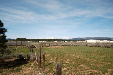 Located on the edge of the City of McCall, you will discover an - photo 9