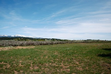 Located on the edge of the City of McCall, you will discover an - photo 10