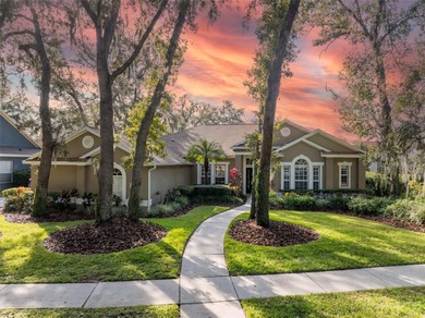 (private lake, pond, creek) Home For Sale in Lithia Florida