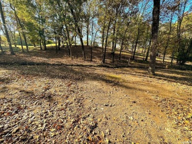 2 beautiful golf front view lots located in a friendly community - photo 2