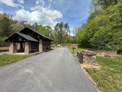 Excellent investment opportunity. Property features 165 lots - photo 5