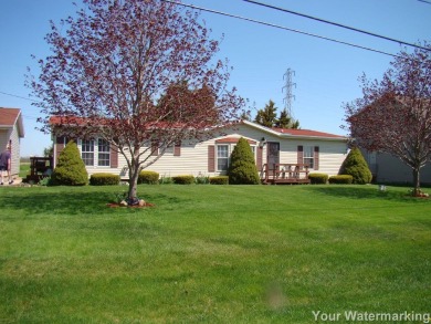 Lake Home For Sale in Brooklyn, Michigan