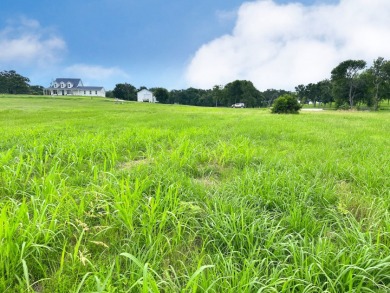 Dream Waterfront Homesite on Richland Chambers Lake! - photo 15